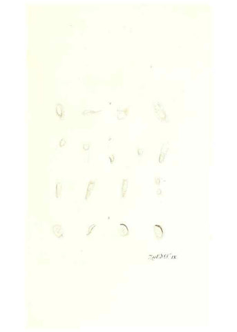 Reproducción/Reproduction 7495474846: Zoologia danica, sev Animalivm Daniae et Norvegiae rariorvm ac minvs notorvm descriptiones et historia .... Havniae :typis N. Mölleri aulae regiae typographi et filii,1788-1806.