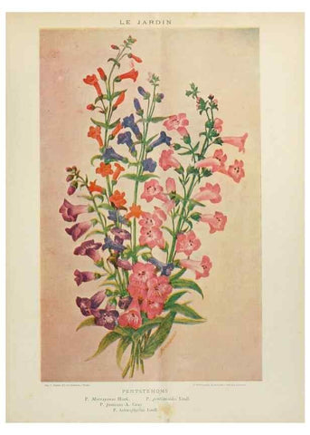 Reproducción/Reproduction 7467879948: Le Jardin.. Paris :Librairie horticole du Jardin,1887-1921.