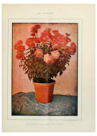 Reproducción/Reproduction 7467874706: Le Jardin.. Paris :Librairie horticole du Jardin,1887-1921.