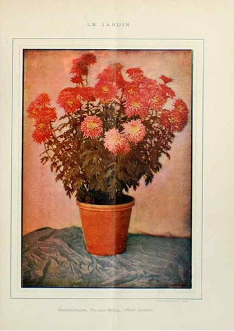 Reproducción/Reproduction 7467874706: Le Jardin.. Paris :Librairie horticole du Jardin,1887-1921.
