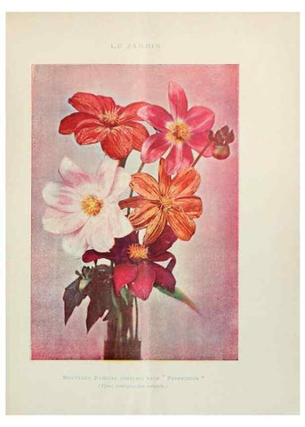 Reproducción/Reproduction 7467876240: Le Jardin.. Paris :Librairie horticole du Jardin,1887-1921.
