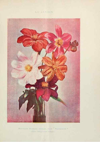Reproducción/Reproduction 7467876240: Le Jardin.. Paris :Librairie horticole du Jardin,1887-1921.