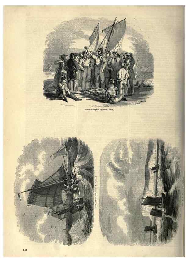 Reproducción/Reproduction 7740039850: The pictorial museum of animated nature .... London :C. Cox,[1844?]