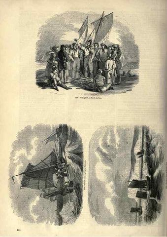 Reproducción/Reproduction 7740039850: The pictorial museum of animated nature .... London :C. Cox,[1844?]