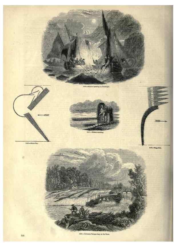 Reproducción/Reproduction 7740045992: The pictorial museum of animated nature .... London :C. Cox,[1844?]