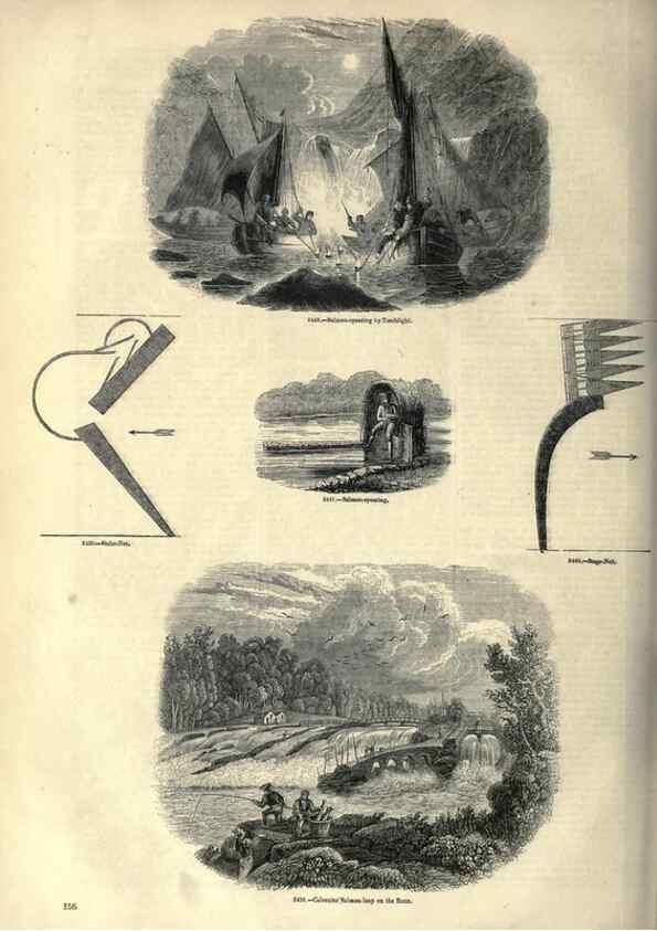 Reproducción/Reproduction 7740045992: The pictorial museum of animated nature .... London :C. Cox,[1844?]