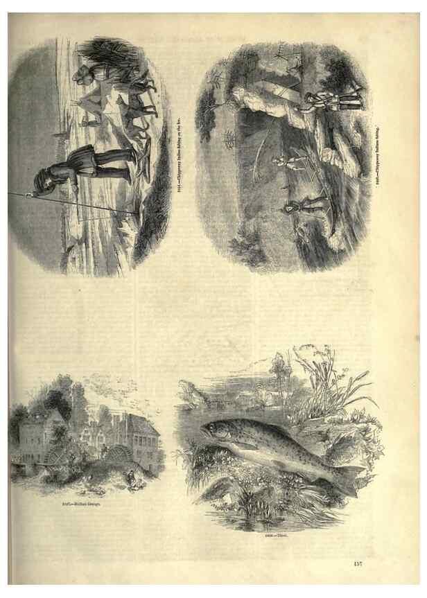 Reproducción/Reproduction 7740047290: The pictorial museum of animated nature .... London :C. Cox,[1844?]