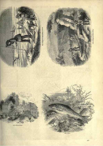 Reproducción/Reproduction 7740047290: The pictorial museum of animated nature .... London :C. Cox,[1844?]