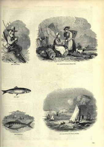Reproducción/Reproduction 7740052164: The pictorial museum of animated nature .... London :C. Cox,[1844?]