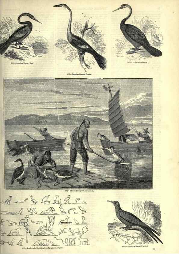 Reproducción/Reproduction 7740001904: The pictorial museum of animated nature .... London :C. Cox,[1844?]