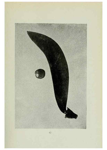 Reproducción/Reproduction 7747254218: Archivos do Jardim Botânico do Rio de Janeiro.. Rio de Janeiro :Jardim Botanico,1915-