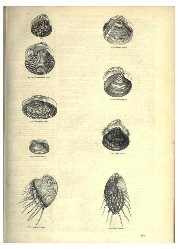 Reproducción/Reproduction 7740110848: The pictorial museum of animated nature .... London :C. Cox,[1844?]