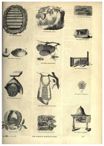 Reproducción/Reproduction 7740165316: The pictorial museum of animated nature .... London :C. Cox,[1844?]