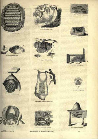 Reproducción/Reproduction 7740165316: The pictorial museum of animated nature .... London :C. Cox,[1844?]
