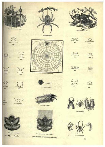 Reproducción/Reproduction 7740138972: The pictorial museum of animated nature .... London :C. Cox,[1844?]
