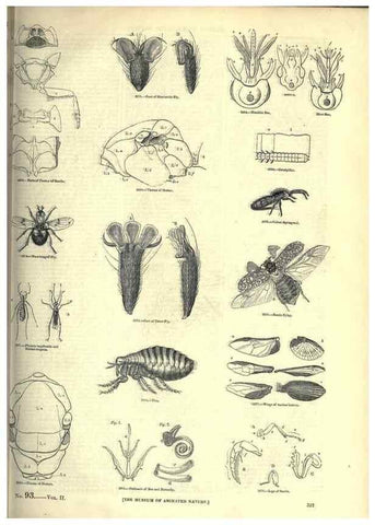 Reproducción/Reproduction 7740143490: The pictorial museum of animated nature .... London :C. Cox,[1844?]
