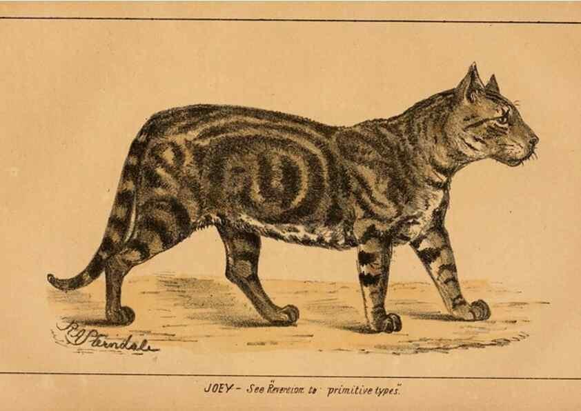 Reproducción/Reproduction 7652077092: The Journal of the Bombay Natural History Society.. Bombay :The Society,
