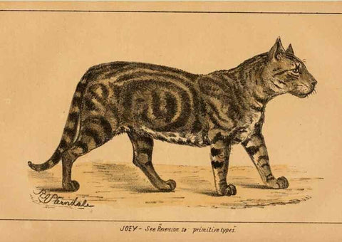 Reproducción/Reproduction 7652077092: The Journal of the Bombay Natural History Society.. Bombay :The Society,