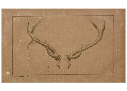 Reproducción/Reproduction 7652066762: The Journal of the Bombay Natural History Society.. Bombay :The Society,