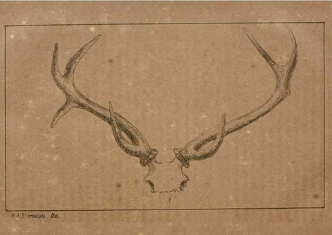 Reproducción/Reproduction 7652066762: The Journal of the Bombay Natural History Society.. Bombay :The Society,