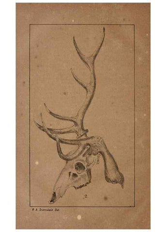 Reproducción/Reproduction 7652068134: The Journal of the Bombay Natural History Society.. Bombay :The Society,