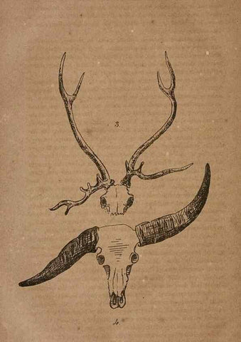 Reproducción/Reproduction 7652069556: The Journal of the Bombay Natural History Society.. Bombay :The Society,