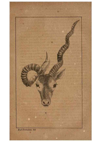 Reproducción/Reproduction 7652071050: The Journal of the Bombay Natural History Society.. Bombay :The Society,