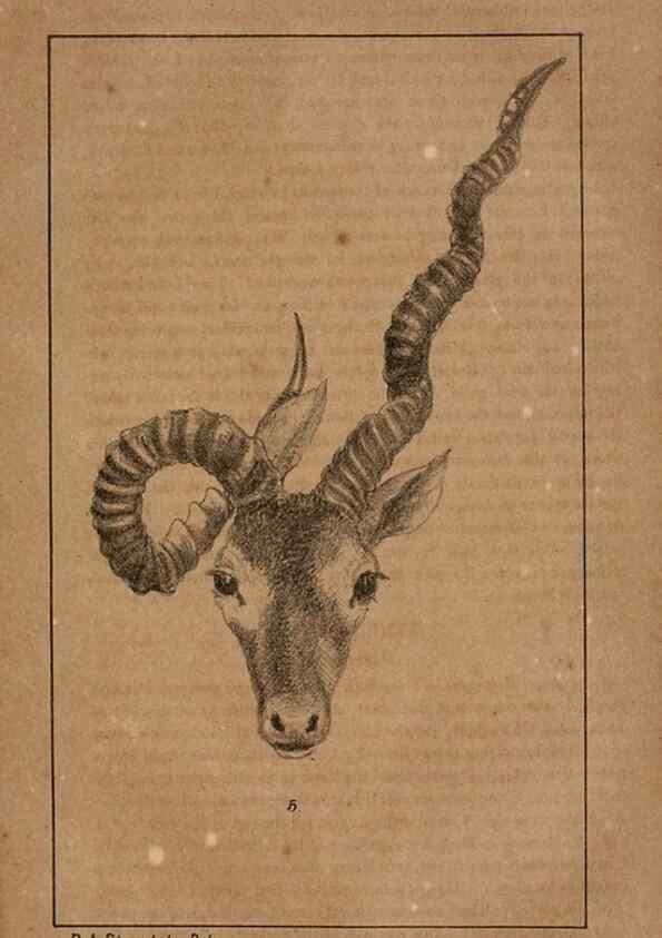 Reproducción/Reproduction 7652071050: The Journal of the Bombay Natural History Society.. Bombay :The Society,