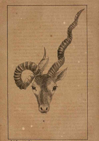 Reproducción/Reproduction 7652071050: The Journal of the Bombay Natural History Society.. Bombay :The Society,