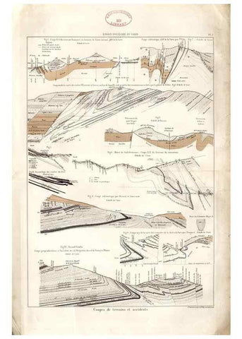 Reproducción/Reproduction 7676534404: Géologie et paléontologie du bassin houiller du Gard /. Saint-Etienne :Théolier,1890.