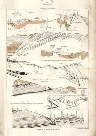 Reproducción/Reproduction 7676534404: Géologie et paléontologie du bassin houiller du Gard /. Saint-Etienne :Théolier,1890.