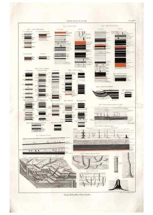 Reproducción/Reproduction 7676538162: Géologie et paléontologie du bassin houiller du Gard /. Saint-Etienne :Théolier,1890.