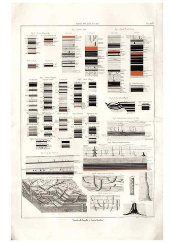 Reproducción/Reproduction 7676538162: Géologie et paléontologie du bassin houiller du Gard /. Saint-Etienne :Théolier,1890.