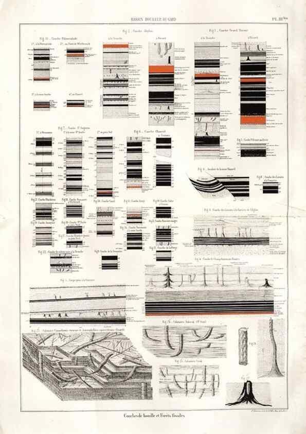 Reproducción/Reproduction 7676538162: Géologie et paléontologie du bassin houiller du Gard /. Saint-Etienne :Théolier,1890.