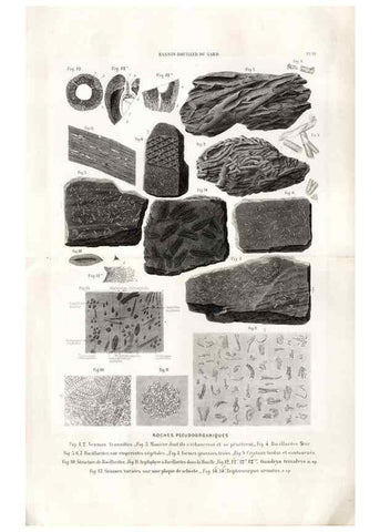 Reproducción/Reproduction 7676539202: Géologie et paléontologie du bassin houiller du Gard /. Saint-Etienne :Théolier,1890.
