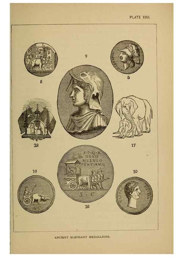 Reproducción/Reproduction 7583959440: The ivory king;. New York,C. Scribner's sons,1886.