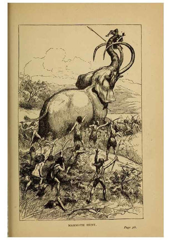 Reproducción/Reproduction 7583931162: The ivory king;. New York,C. Scribner's sons,1886.