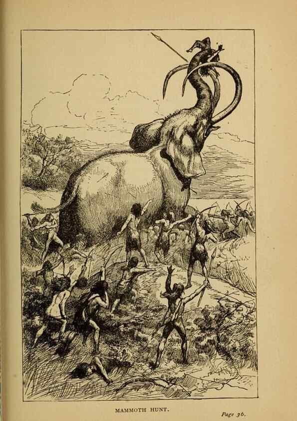 Reproducción/Reproduction 7583931162: The ivory king;. New York,C. Scribner's sons,1886.