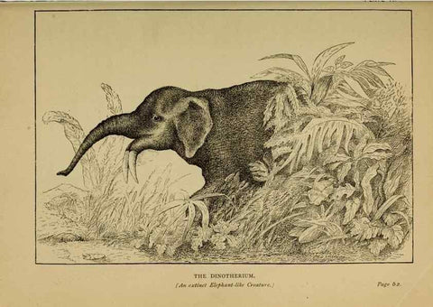 Reproducción/Reproduction 7583935522: The ivory king;. New York,C. Scribner's sons,1886.