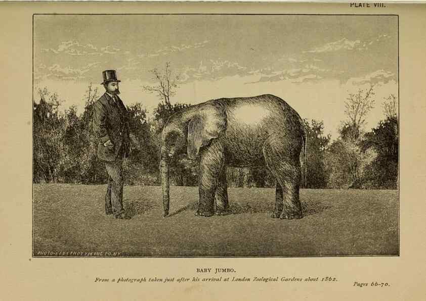 Reproducción/Reproduction 7583939408: The ivory king;. New York,C. Scribner's sons,1886.