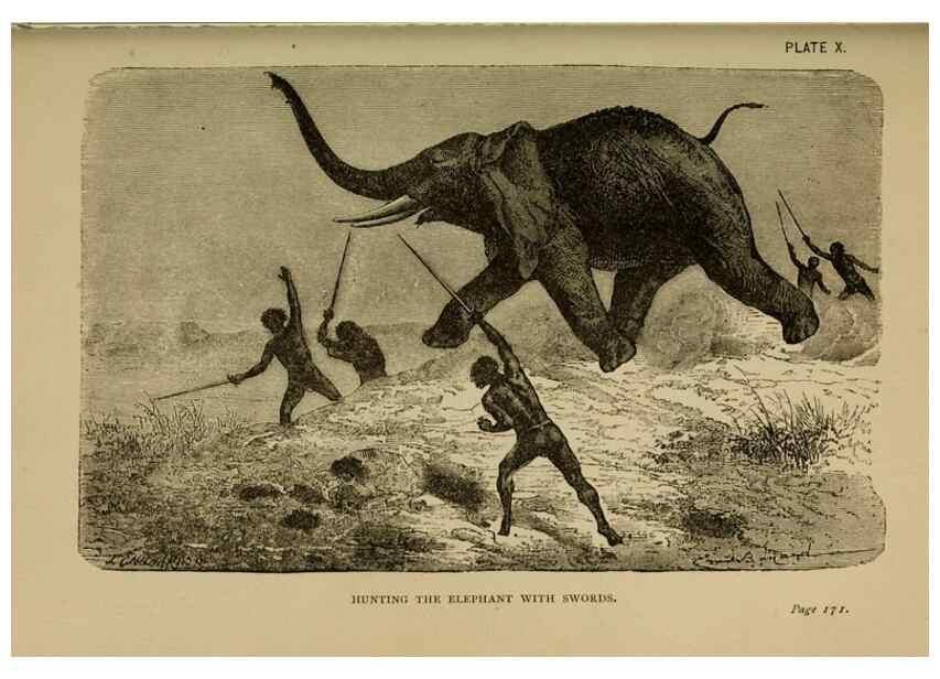 Reproducción/Reproduction 7583942536: The ivory king;. New York,C. Scribner's sons,1886.