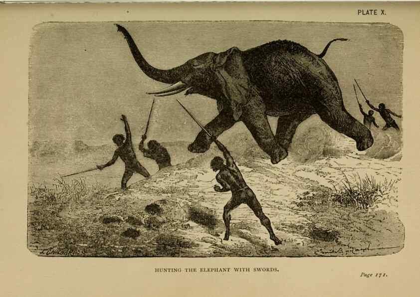 Reproducción/Reproduction 7583942536: The ivory king;. New York,C. Scribner's sons,1886.