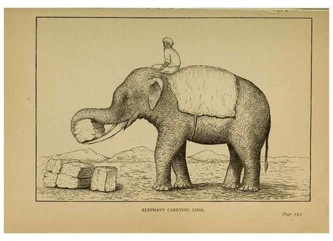 Reproducción/Reproduction 7583950160: The ivory king;. New York,C. Scribner's sons,1886.