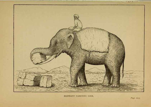 Reproducción/Reproduction 7583950160: The ivory king;. New York,C. Scribner's sons,1886.