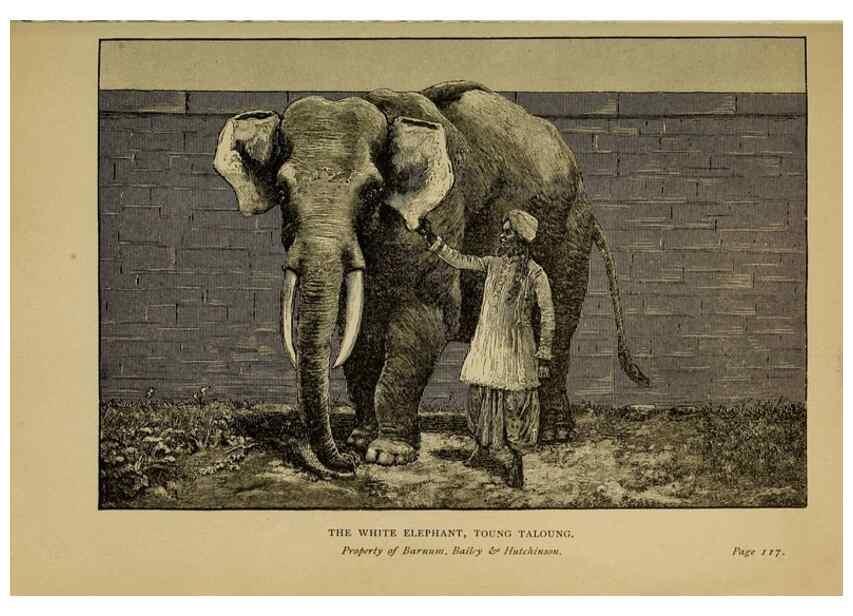 Reproducción/Reproduction 7583944512: The ivory king;. New York,C. Scribner's sons,1886.