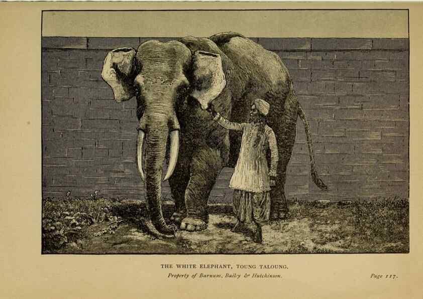 Reproducción/Reproduction 7583944512: The ivory king;. New York,C. Scribner's sons,1886.