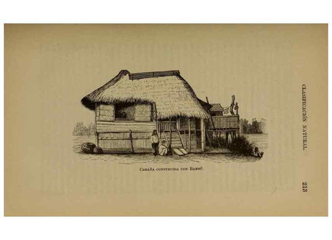 Reproducción/Reproduction 7637178334: Libro primero de botánica (Reino vegetal). Nueva York,D. Appleton,1887.