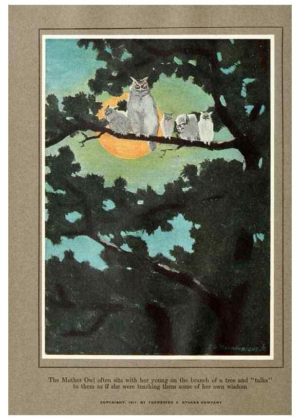 Reproducción/Reproduction 7599733068: The human side of birds,. New York,Frederick A. Stokes company[c1917]