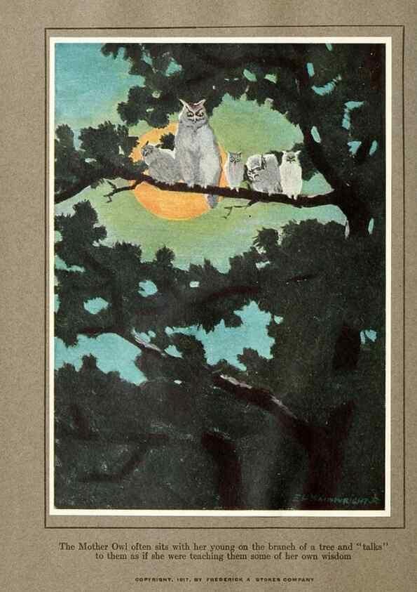 Reproducción/Reproduction 7599733068: The human side of birds,. New York,Frederick A. Stokes company[c1917]