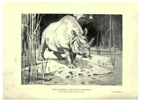 Reproducción/Reproduction 7724877278: Evolution in the past /. London :Herbert and Daniel,1912.